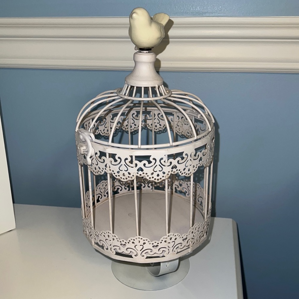 Decorative Bird Cage Home Decor